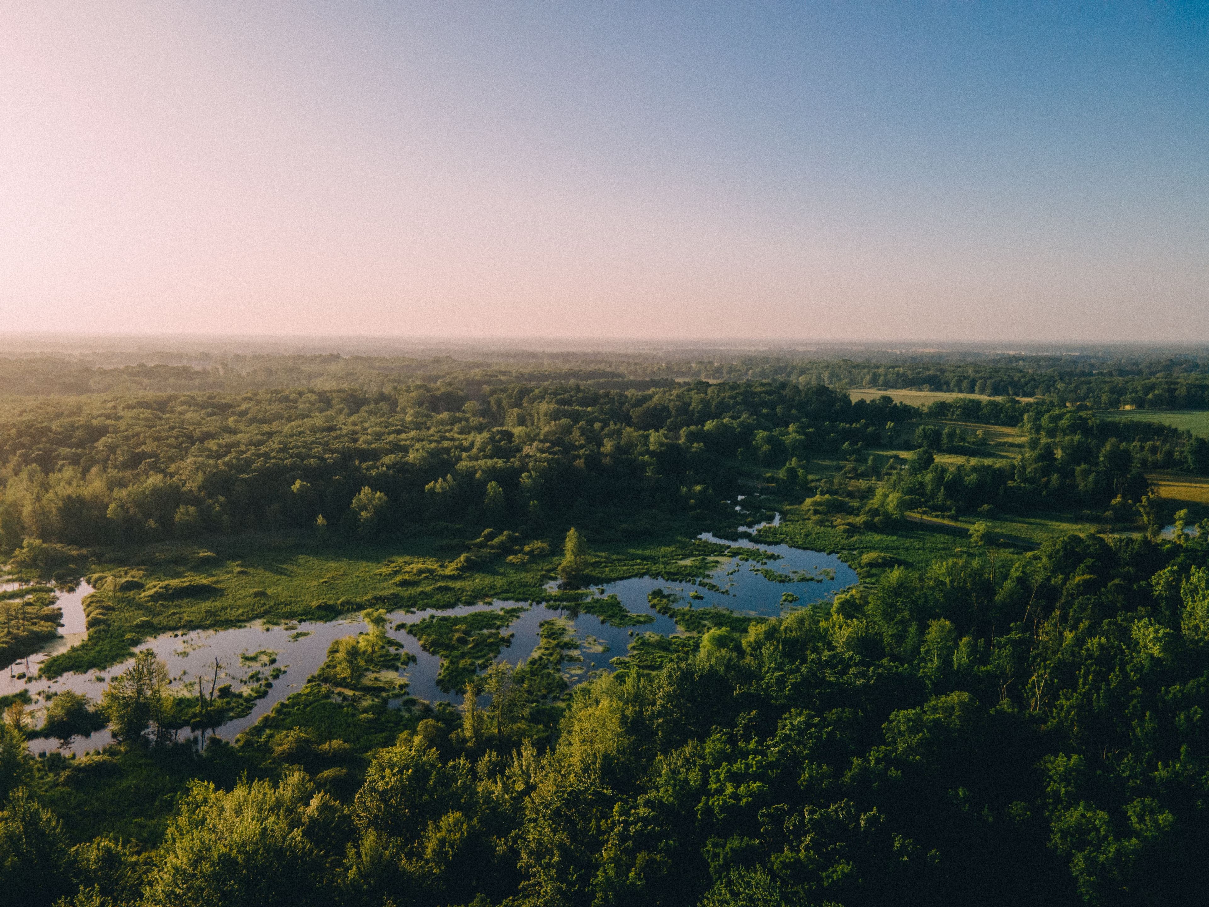 Sunrise over a green Michigan river valley